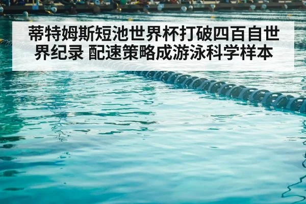 competitive swimming pool lanes